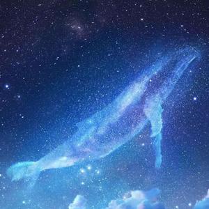 国产欧美日韩在线观看无需安装
