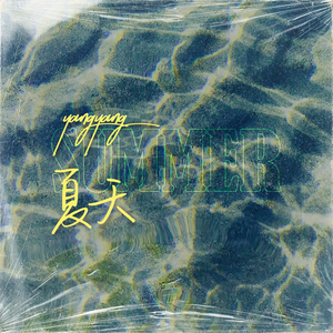 国产欧美日韩在线观看无需安装
