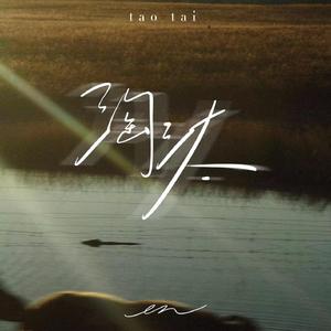 国产欧美日韩在线观看无需安装
